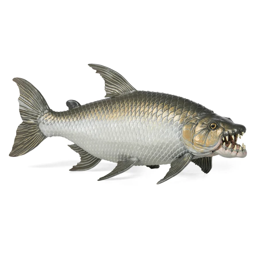 Pez tigre goliat