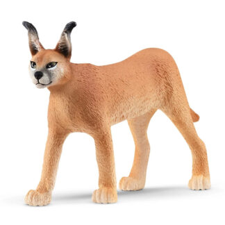 caracal