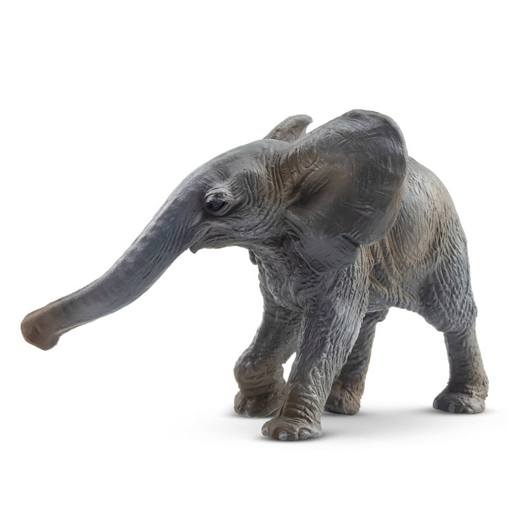 cría de elefante