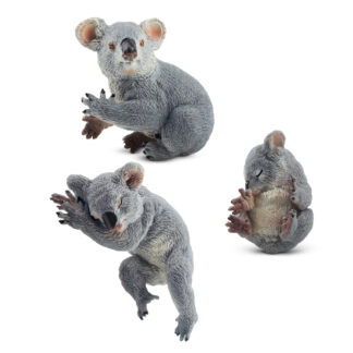 koalas
