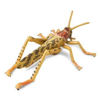 langosta del desierto