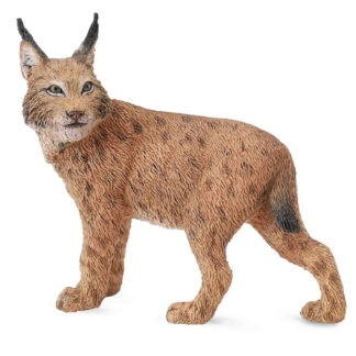 lince boreal