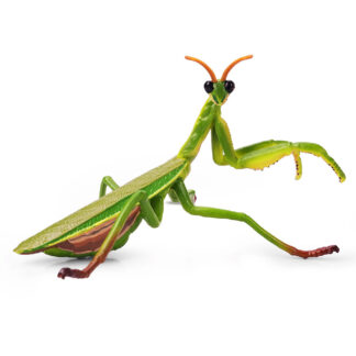 mantis china