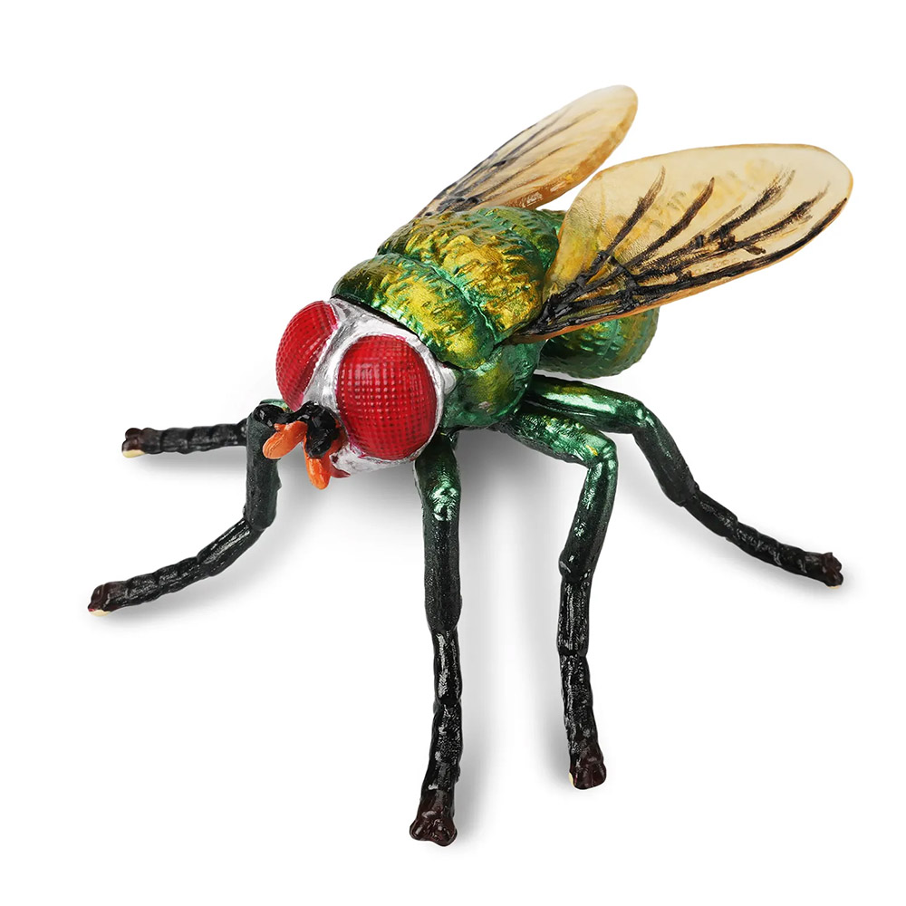 mosca verde botella