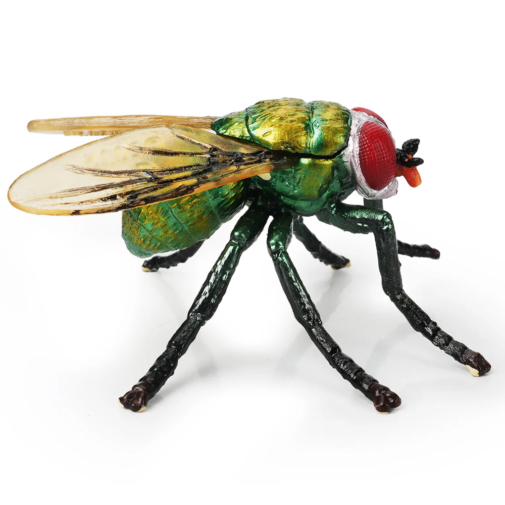 mosca verde botella