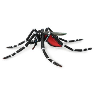 mosquito tigre