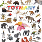 nuevos Toymany