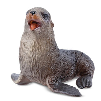 cría de oso marino