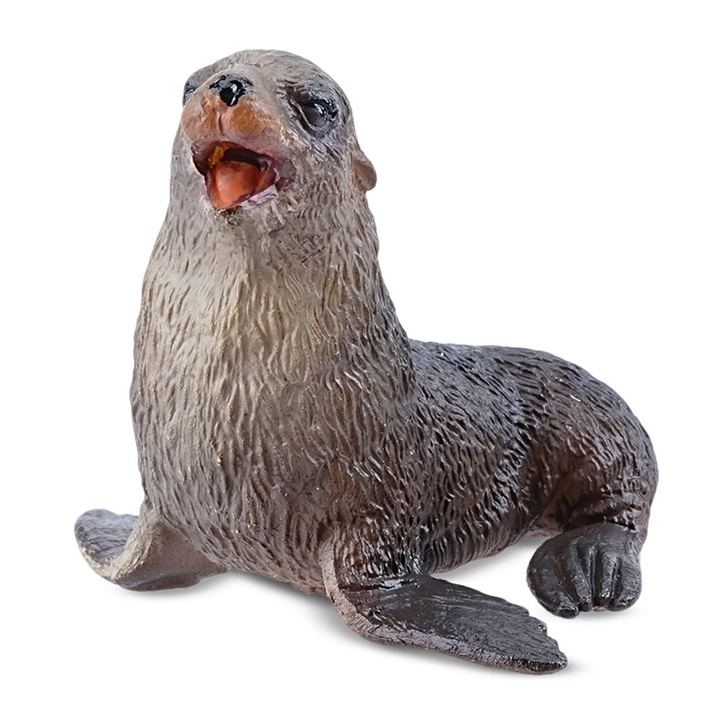 cría de oso marino