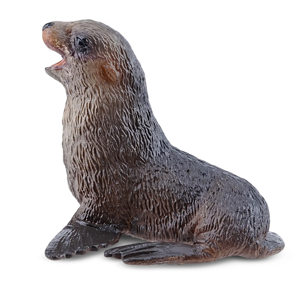 cría de oso marino