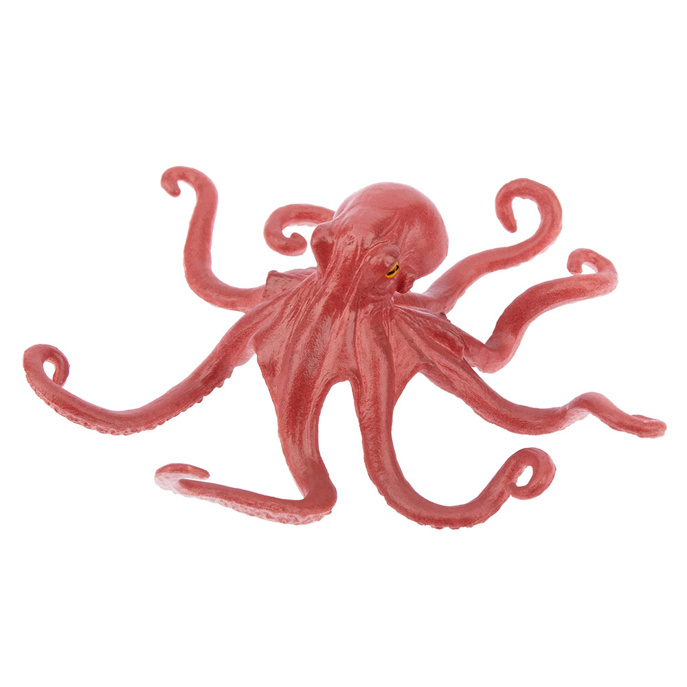 pulpo