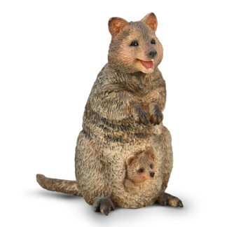 quokka