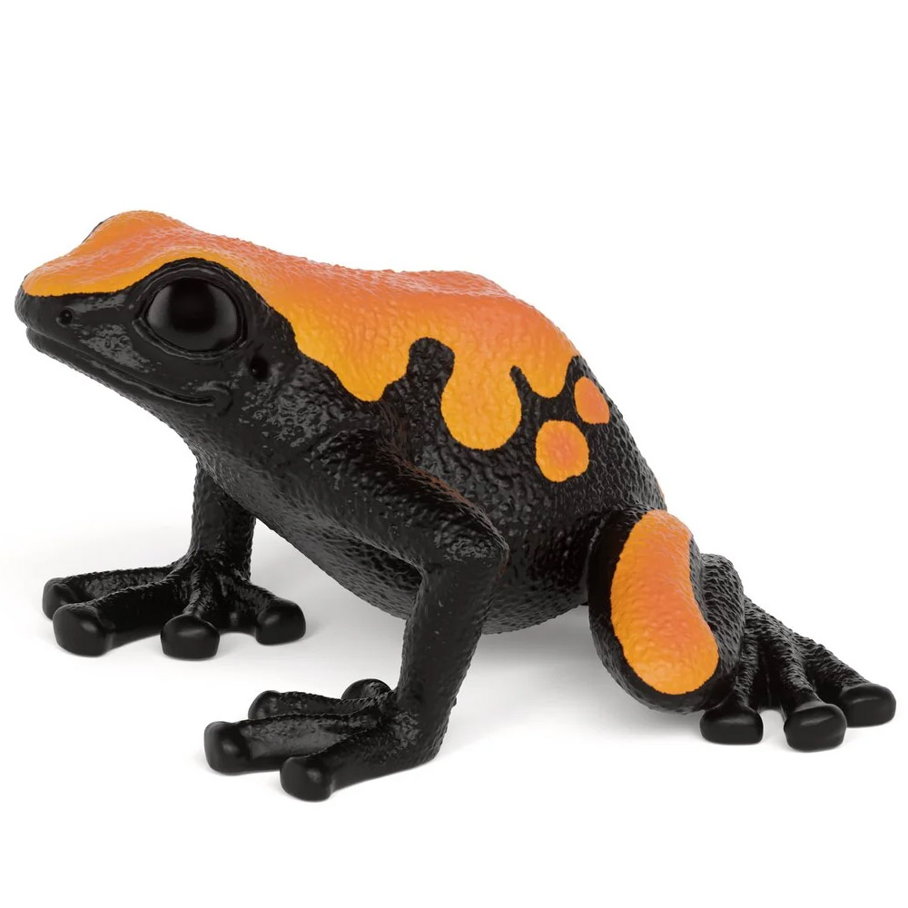 rana venenosa salpicada