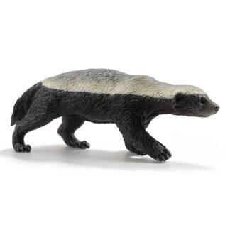 ratel