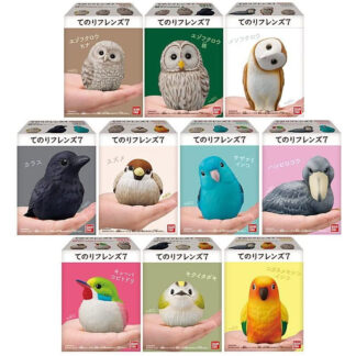 aves