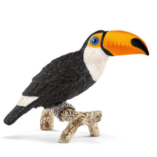 tucán toco