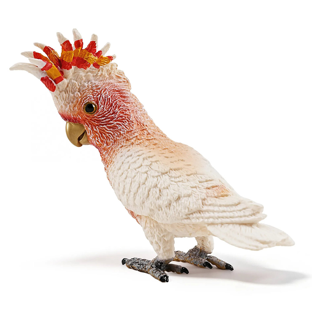 cacatúa abanderada