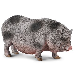 cerdo vietnamita