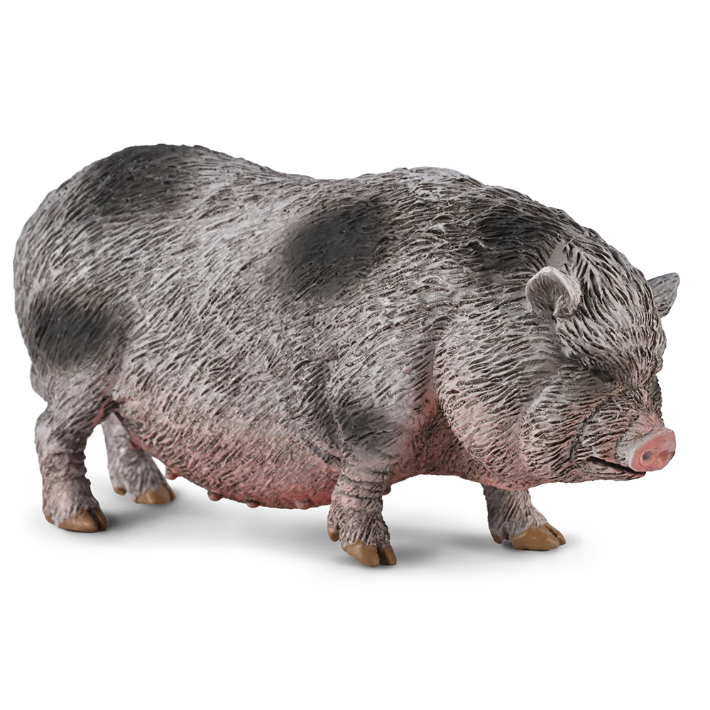 cerdo vietnamita
