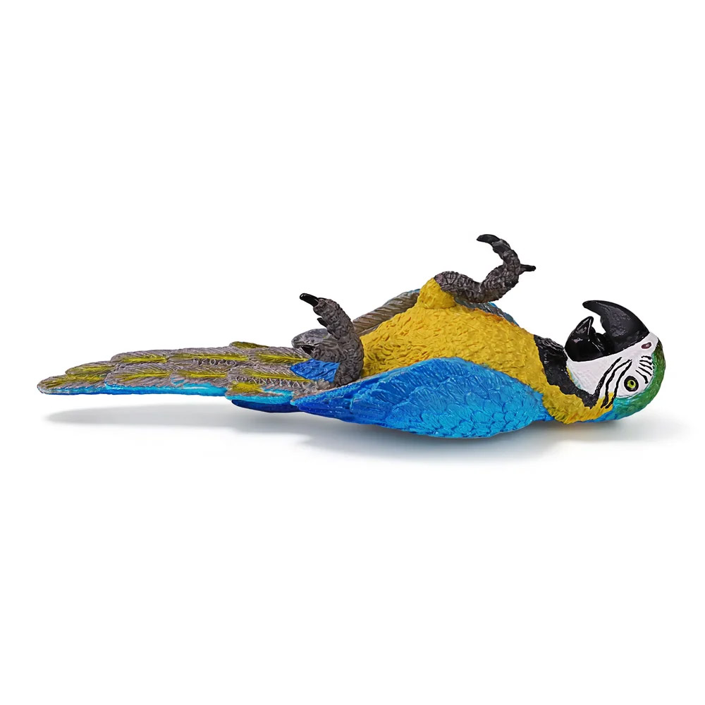guacamayo azul y amarillo