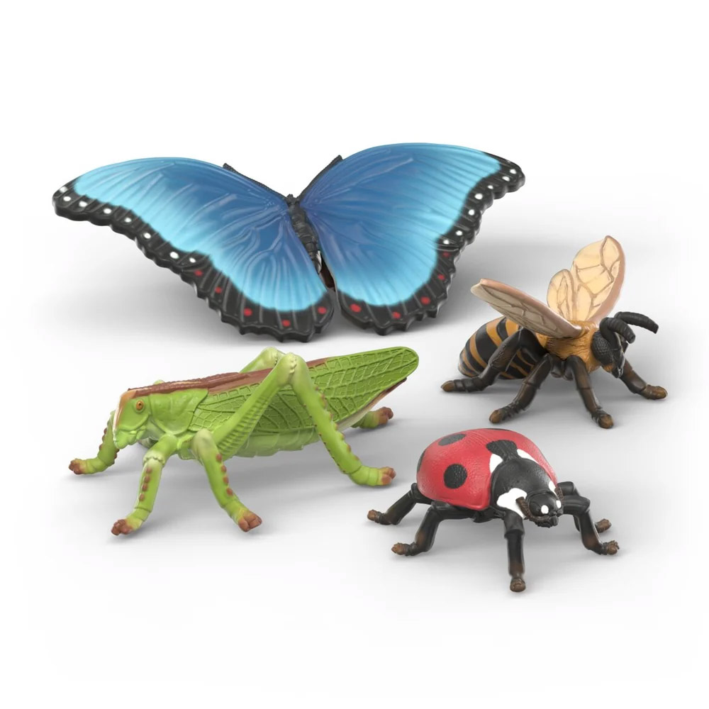 insectos. Discovery set